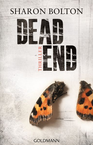 Cover von Dead End – Lacey Flint 2