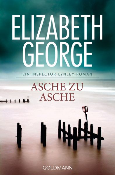 Cover von Asche zu Asche