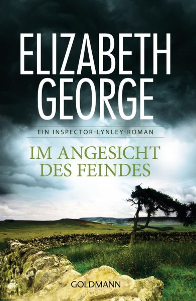 Cover von Im Angesicht des Feindes