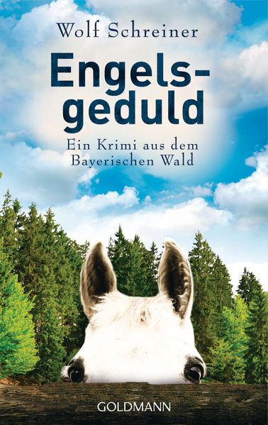 Cover von Engelsgeduld