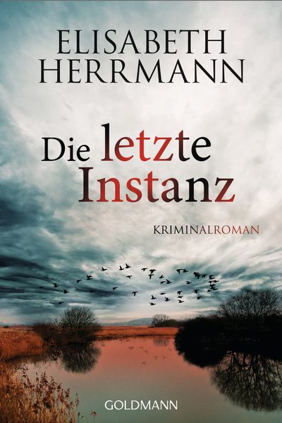 Cover von Die letzte Instanz
