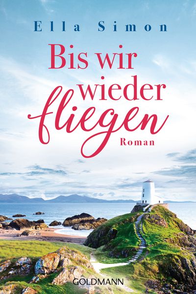 Cover von Bis wir wieder fliegen