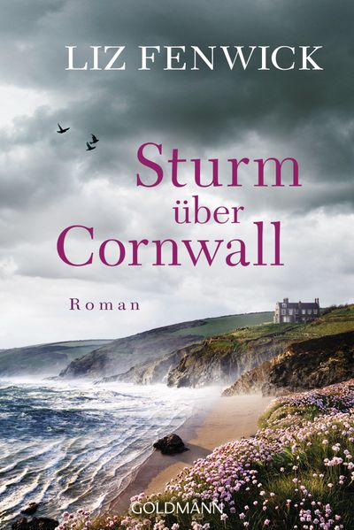 Cover von Sturm über Cornwall