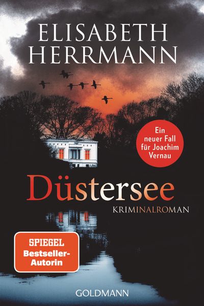 Cover von Düstersee