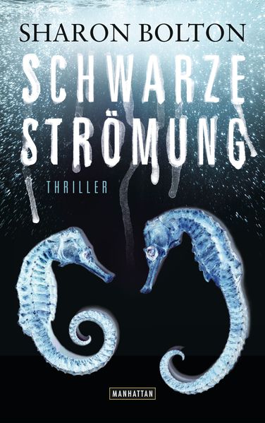Cover von Schwarze Strömung – Lacey Flint 4