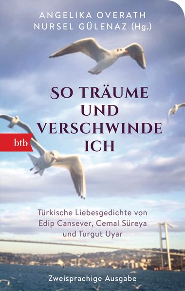 Cover von „So träume und verschwinde ich“