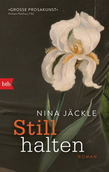 Cover von Stillhalten
