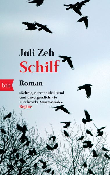 Cover von Schilf