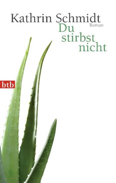 Cover von Du stirbst nicht