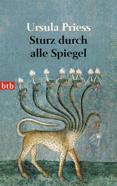 Cover von Sturz durch alle Spiegel