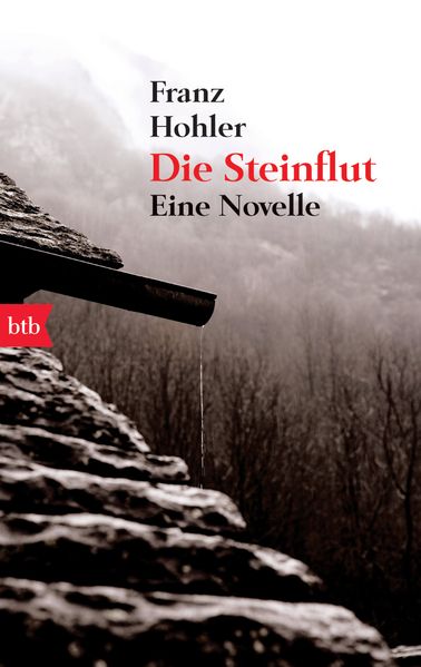 Cover von Die Steinflut