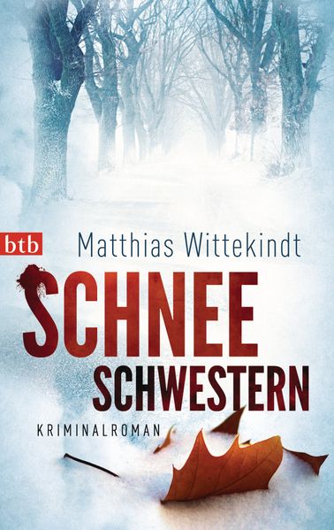 Cover von Schneeschwestern