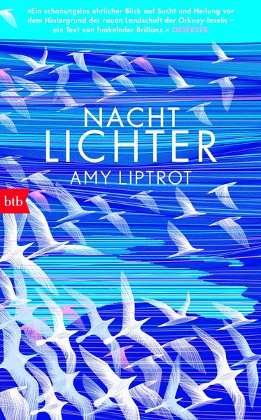 Cover von Nachtlichter