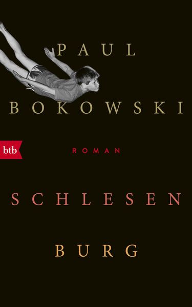 Cover von Schlesenburg