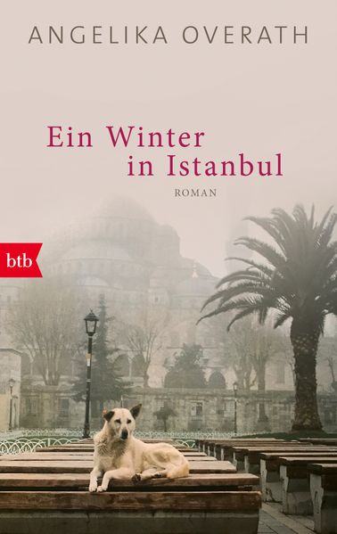 Cover von Ein Winter in Istanbul