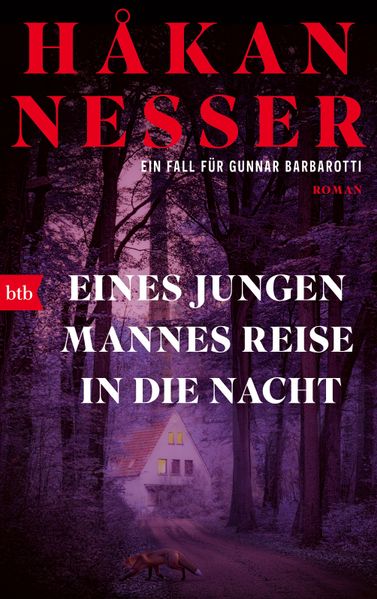 Cover von Eines jungen Mannes Reise in die Nacht