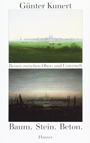 Cover von Baum. Stein. Beton