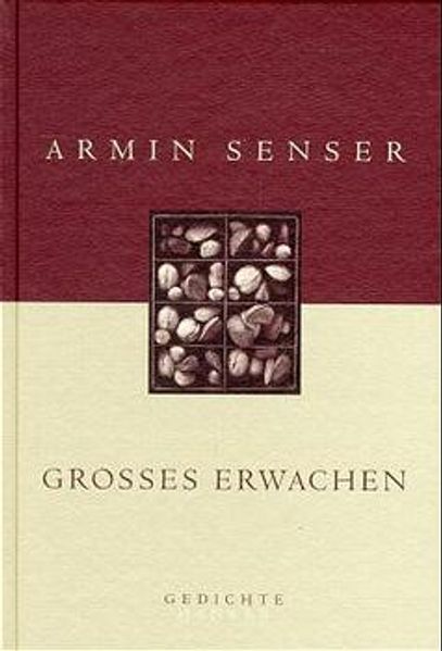Cover von Großes Erwachen