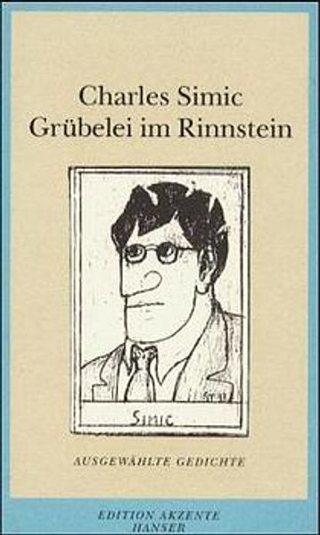 Cover von Grübelei im Rinnstein