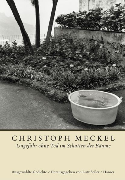 Cover von Ungefähr ohne Tod im Schatten der Bäume