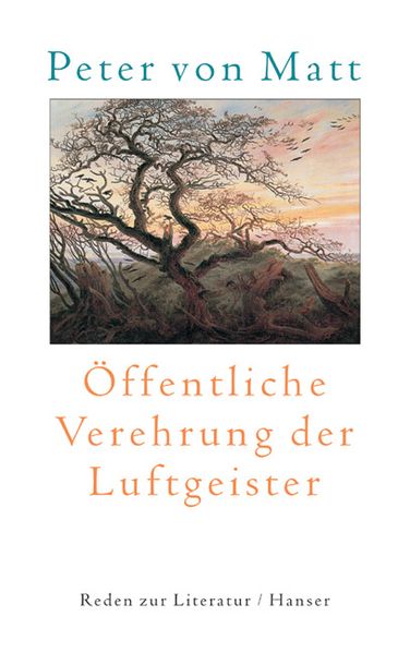 Cover von Öffentliche Verehrung der Luftgeister