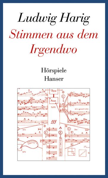 Cover von Stimmen aus dem Irgendwo