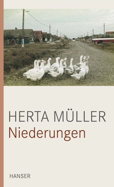 Cover von Niederungen