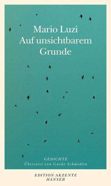 Cover von Auf unsichtbarem Grunde