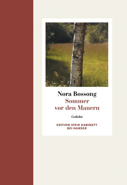 Cover von Sommer vor den Mauern