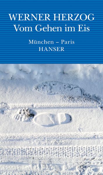 Cover von Vom Gehen im Eis