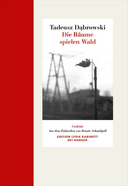Cover von Die Bäume spielen Wald