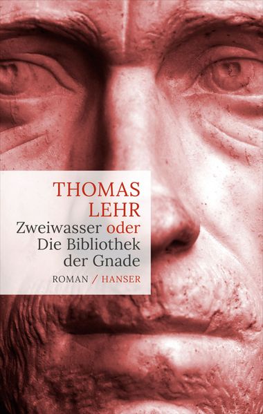 Cover von Zweiwasser