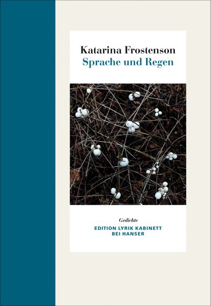 Cover von Sprache und Regen