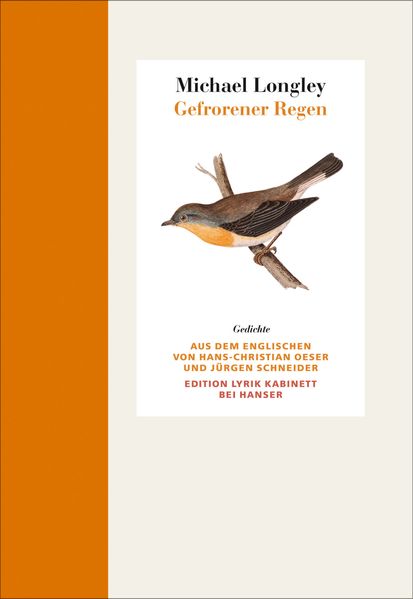 Cover von Gefrorener Regen