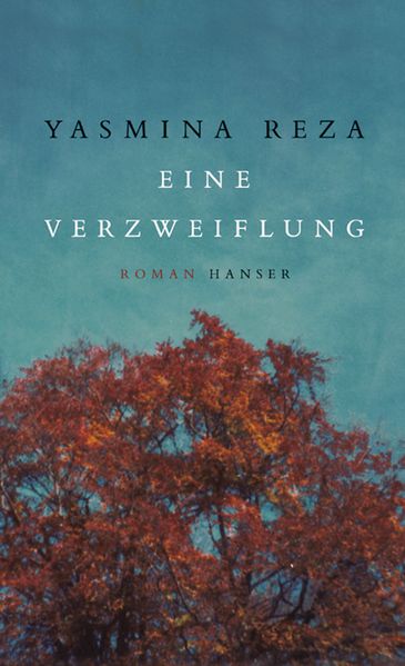 Cover von Eine Verzweiflung