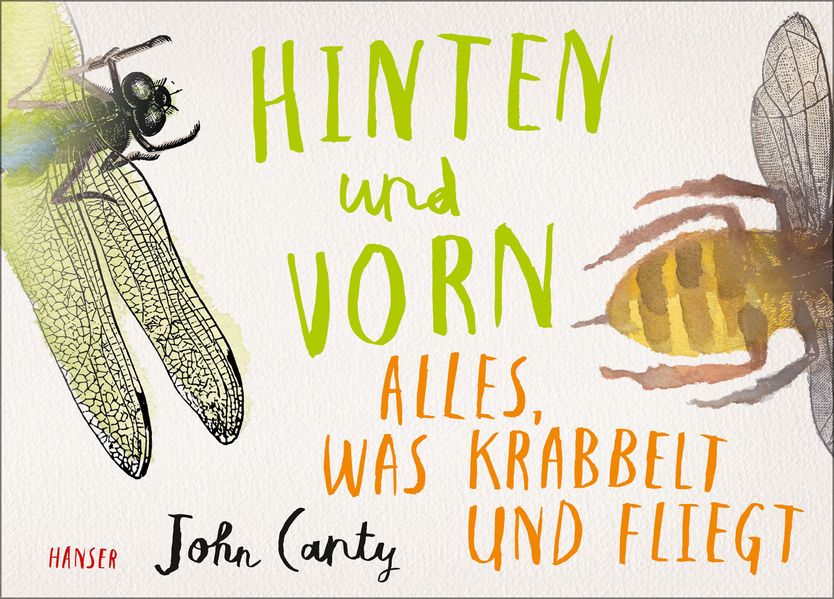 Cover von Hinten und vorn – Alles, was krabbelt und fliegt