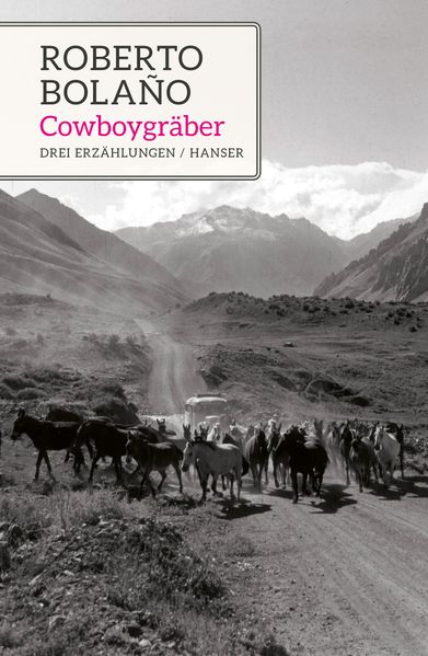 Cover von Cowboygräber