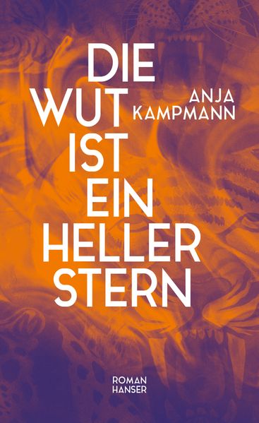 Cover von Die Wut ist ein heller Stern