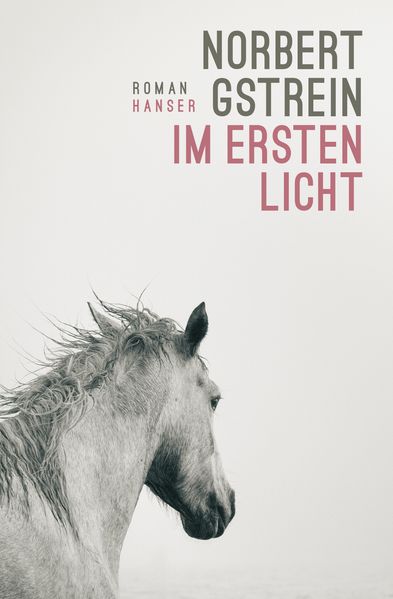 Cover von Im ersten Licht
