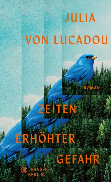Cover von Zeiten erhöhter Gefahr