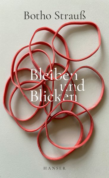 Cover von Bleiben und Blicken