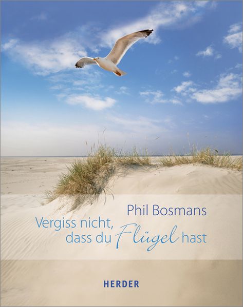 Cover von Vergiss nicht, dass du Flügel hast