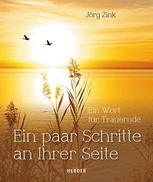 Cover von Ein paar Schritte an Ihrer Seite