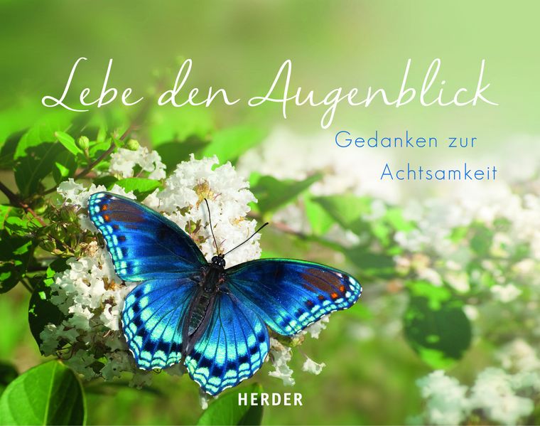 Cover von Lebe den Augenblick
