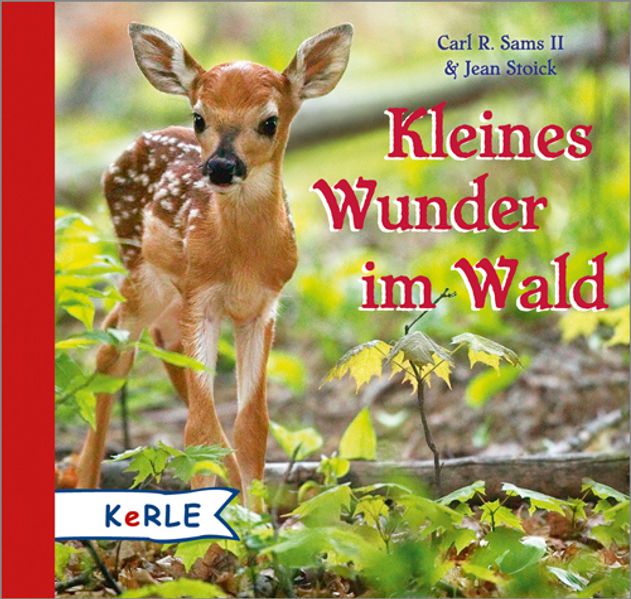Cover von Kleines Wunder im Wald