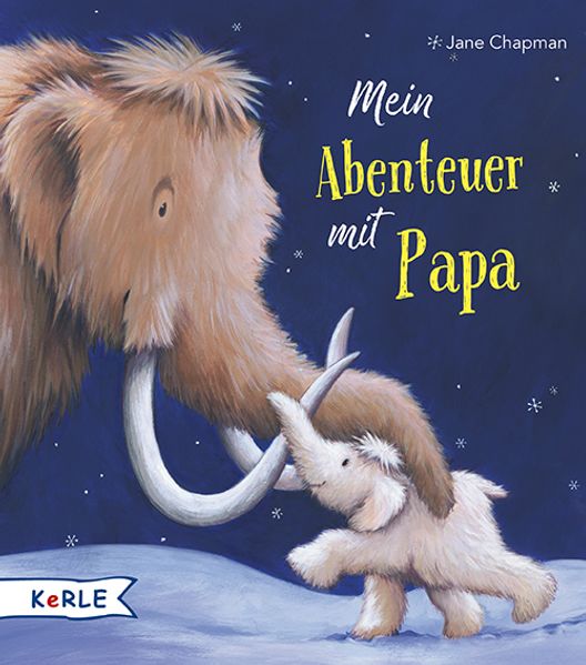 Cover von Ein Weihnachtsfest im Schnee