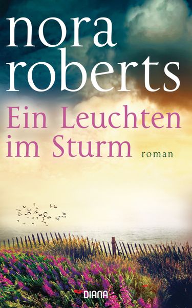 Cover von Ein Leuchten im Sturm