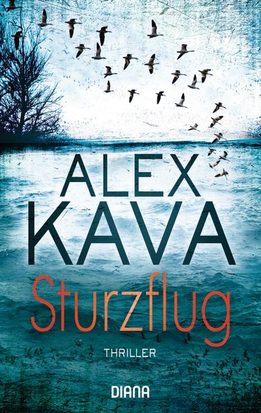 Cover von Sturzflug