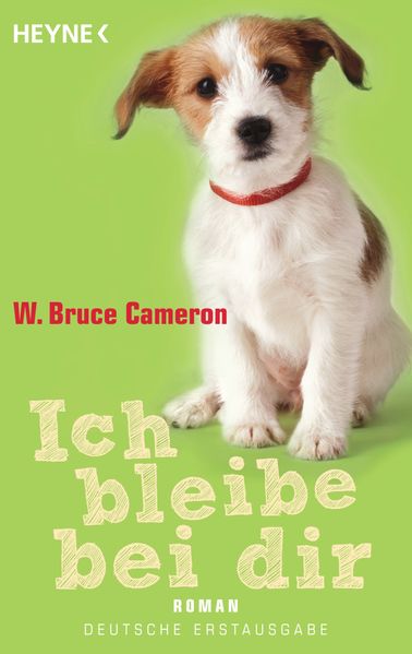Cover von Ich bleibe bei dir
