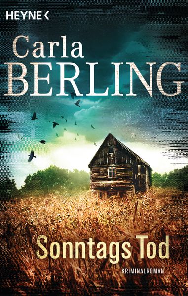 Cover von Sonntags Tod